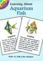 Learning About Aquarium Fish