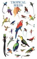 Tropical Birds Poster