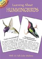 Learning About Hummingbirds