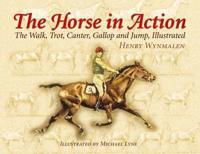 The Horse in Action