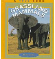 Grassland Mammals