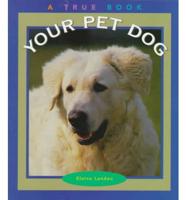 Your Pet Dog