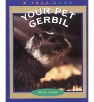 Your Pet Gerbil