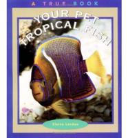 Your Pet Tropical Fish