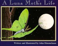 A Luna Moth's Life