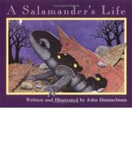 A Salamander's Life