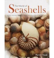 The World of Seashells