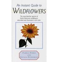 An Instant Guide to Wildflowers