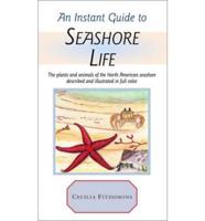 An Instant Guide to Seashore Life