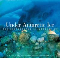 Under Antarctic Ice