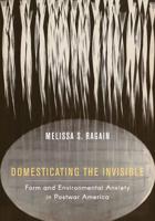 Domesticating the Invisible