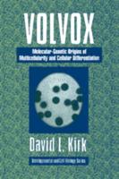 Volvox: A Search for the Molecular and Genetic Origins of Multicellularity and Cellular Differentiation