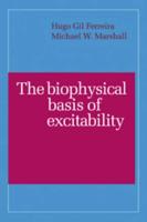 The Biophysical Basis of Excitability