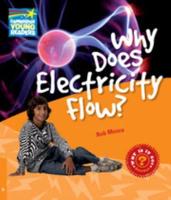 Why Does Electricity Flow? And Other Questions About Electricity