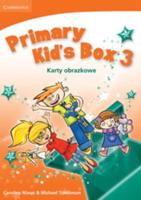 Primary Kid's Box Level 3 Flashcards Polish Edition