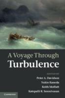 A Voyage Through Turbulence
