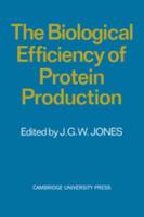 The Biological Efficiency of Protein Production