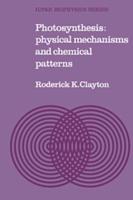 Photosynthesis: Physical Mechanisms and Chemical Patterns