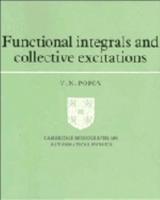 Functional Integrals and Collective Excitations