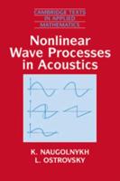 Nonlinear Wave Processes in Acoustics