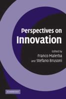 Perspectives on Innovation