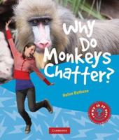 Why Do Monkeys Chatter?