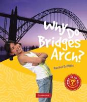 Why Do Bridges Arch?