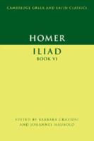 Iliad, Book VI