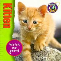 Watch ME Grow: Kitten
