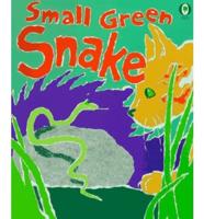 Small Green Snake