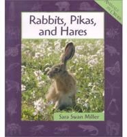 Rabbits, Pikas, and Hares
