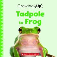Tadpole to Frog (Growing Up) (Paperback)