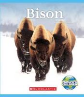 Bison (Nature's Children)