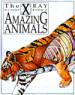 X-Ray Picture Book of Amazing Animals