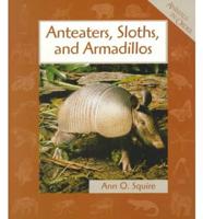 Anteaters, Sloths, and Armadillos