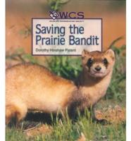 Saving the Prairie Bandit