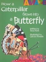 How a Caterpillar Grows Into a Butterfly