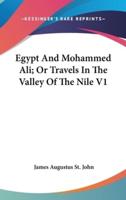 Egypt And Mohammed Ali; Or Travels In The Valley Of The Nile V1