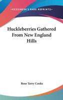 Huckleberries Gathered From New England Hills