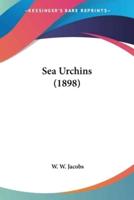 Sea Urchins (1898)