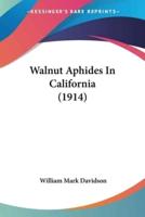 Walnut Aphides In California (1914)