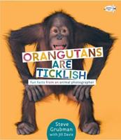 Orangutans Are Ticklish