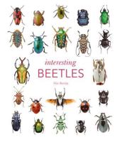 Interesting Beetles