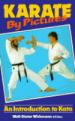 Karate by Pictures