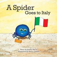 A Spider Goes to Italy