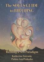 The Souls Guide to Birthing: Birthing a New Paradigm
