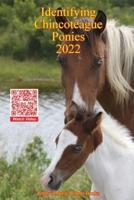 Identifying Chincoteague Ponies 2022