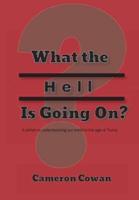 What the Hell is Going On?: A primer to understanding our world in the age of Trump