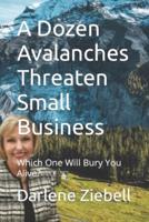 A Dozen Avalanches Threaten Small Business