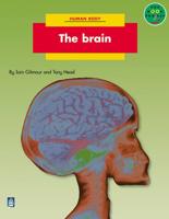 Brain, The Non-Fiction 2